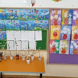 Gradinita nr. 277 Steluta